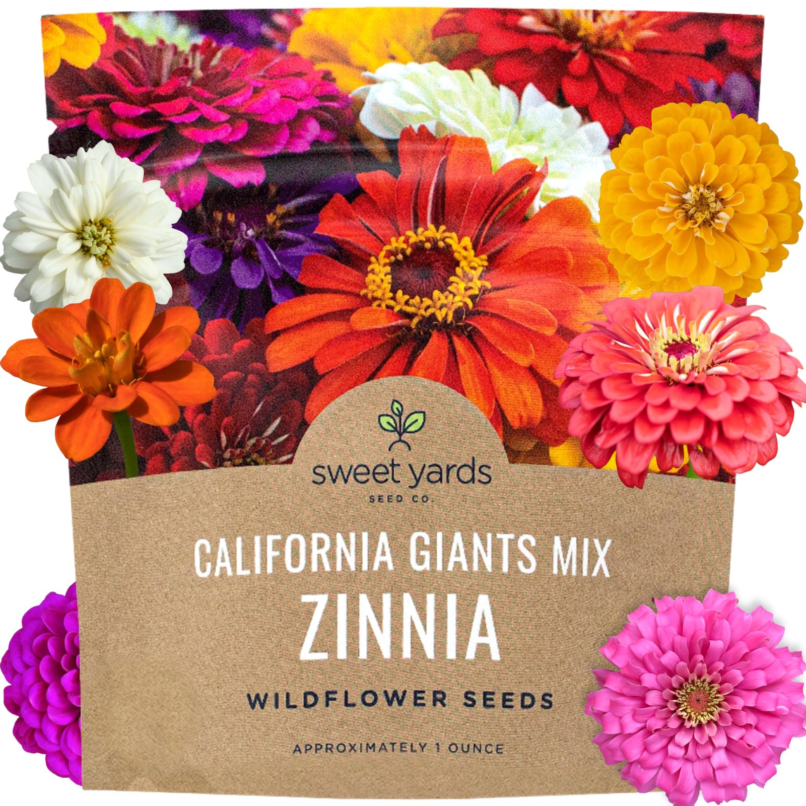Zinnia Seeds – California Giants Mix – Large 1 1 Ounce Pouch, Multiple Colors