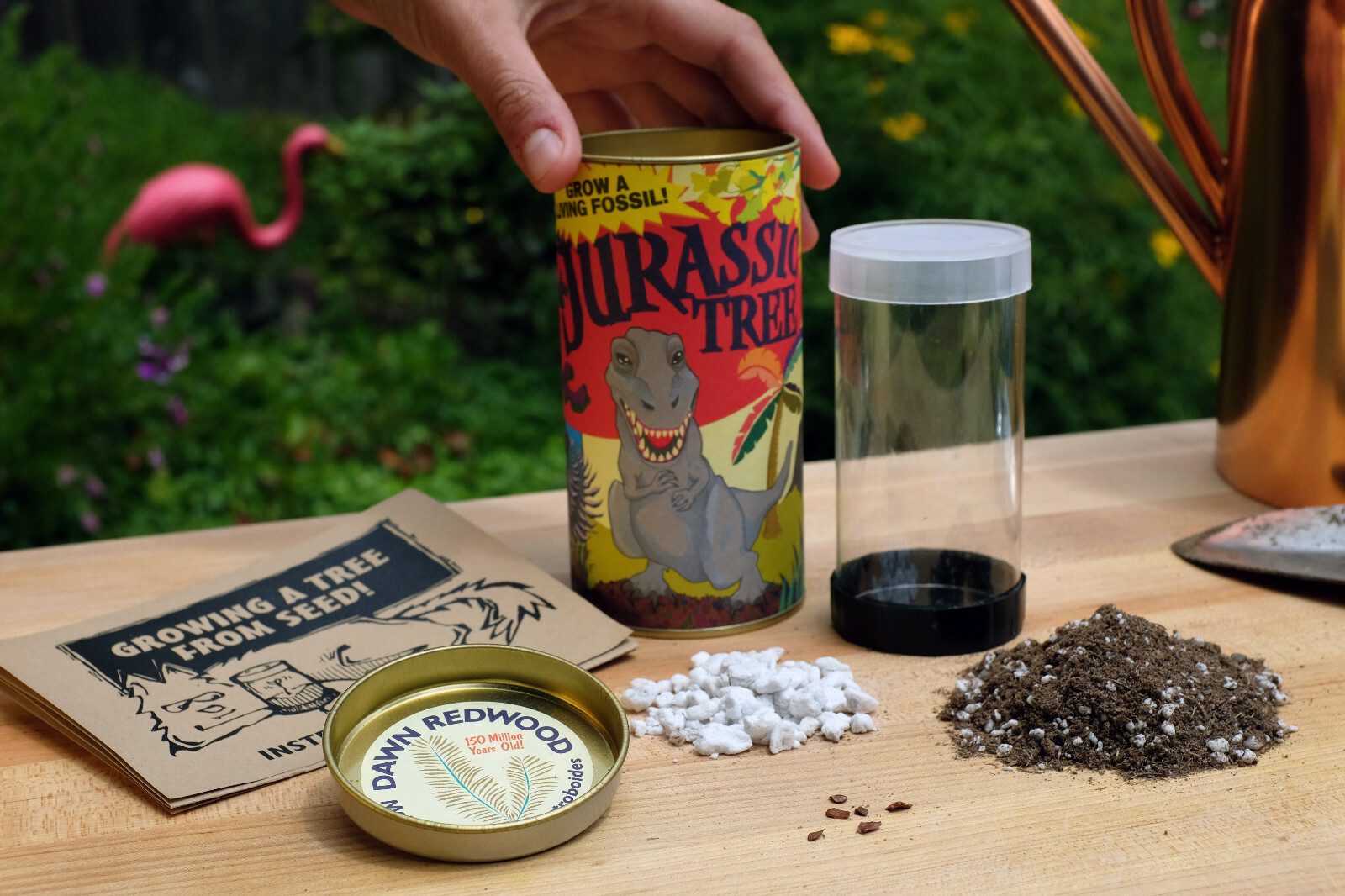 Jurassic Dawn Redwood | Tree Seed Grow Kit | The Jonsteen Company