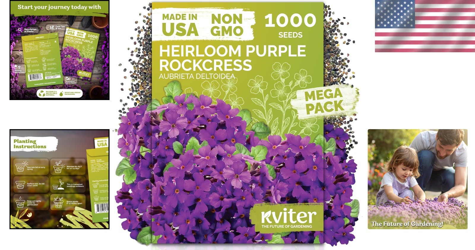 High Germination Aubrieta Seeds – 1,000 Count Organic Ground Cover Flowers