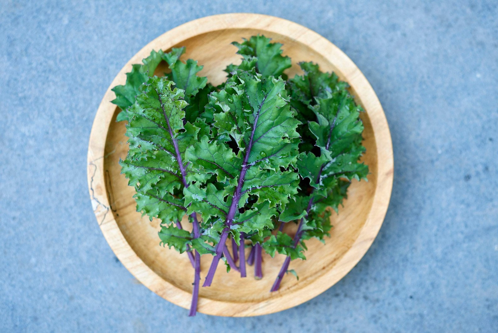 500 RED RUSSIAN KALE Brassica Oleracea Vegetable Seeds