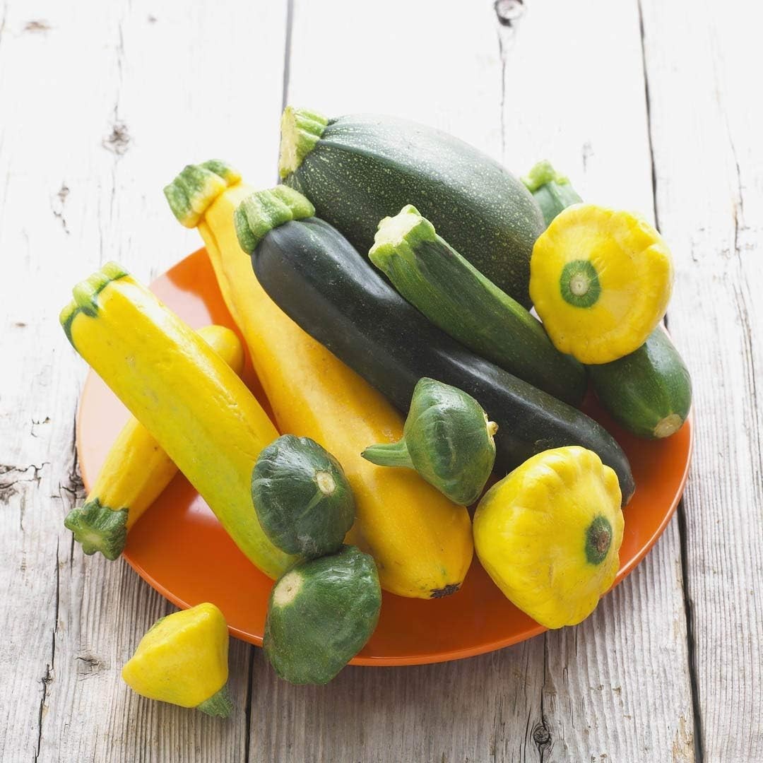 Rare 12 Variety Non-GMO Zucchini & Squash Seed Mix – 50 Seeds for Every Garden