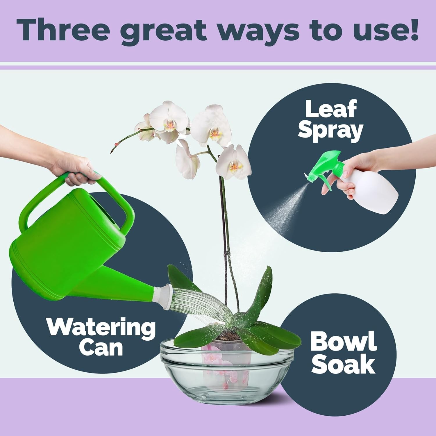 Sow Right Seeds – Insect & Pest Repellent Seed Collection for Planting – Mix