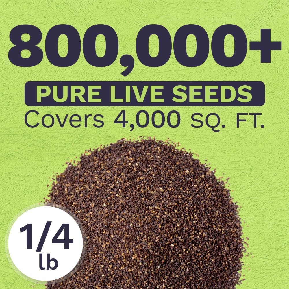 Red Poppy Seeds – Bulk 1/4 Pound Bag – Over 800,000 Bag,