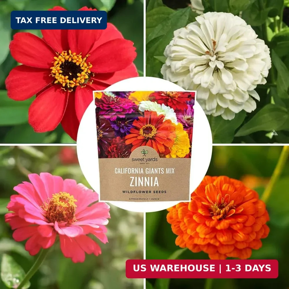 Zinnia Seeds California Giants Mix 1 Oz Pack 3000+ Flower Seeds Mixed Colors