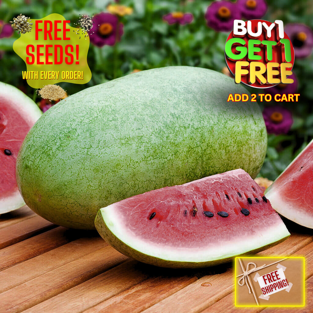 Fresh Charleston Grey Watermelon Seeds | Heirloom Non-GMO | Fresh Fruit Seeds
