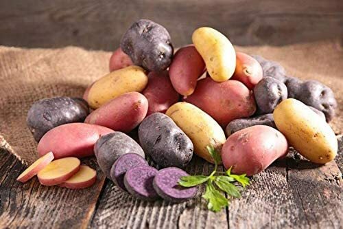 Simply Seed – 10 Piece – Fingerling Potato Seed Mix – Non GMO – Naturally Grown