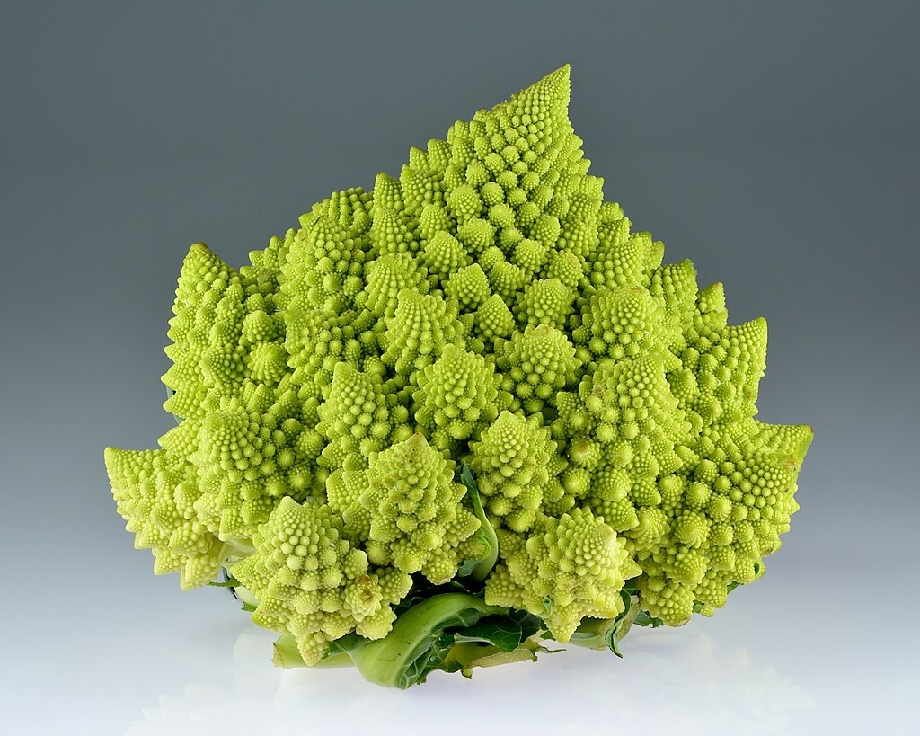 500 Romanesco Broccoli Seeds Non-GMO Heirloom | USA Seller Free Shipping
