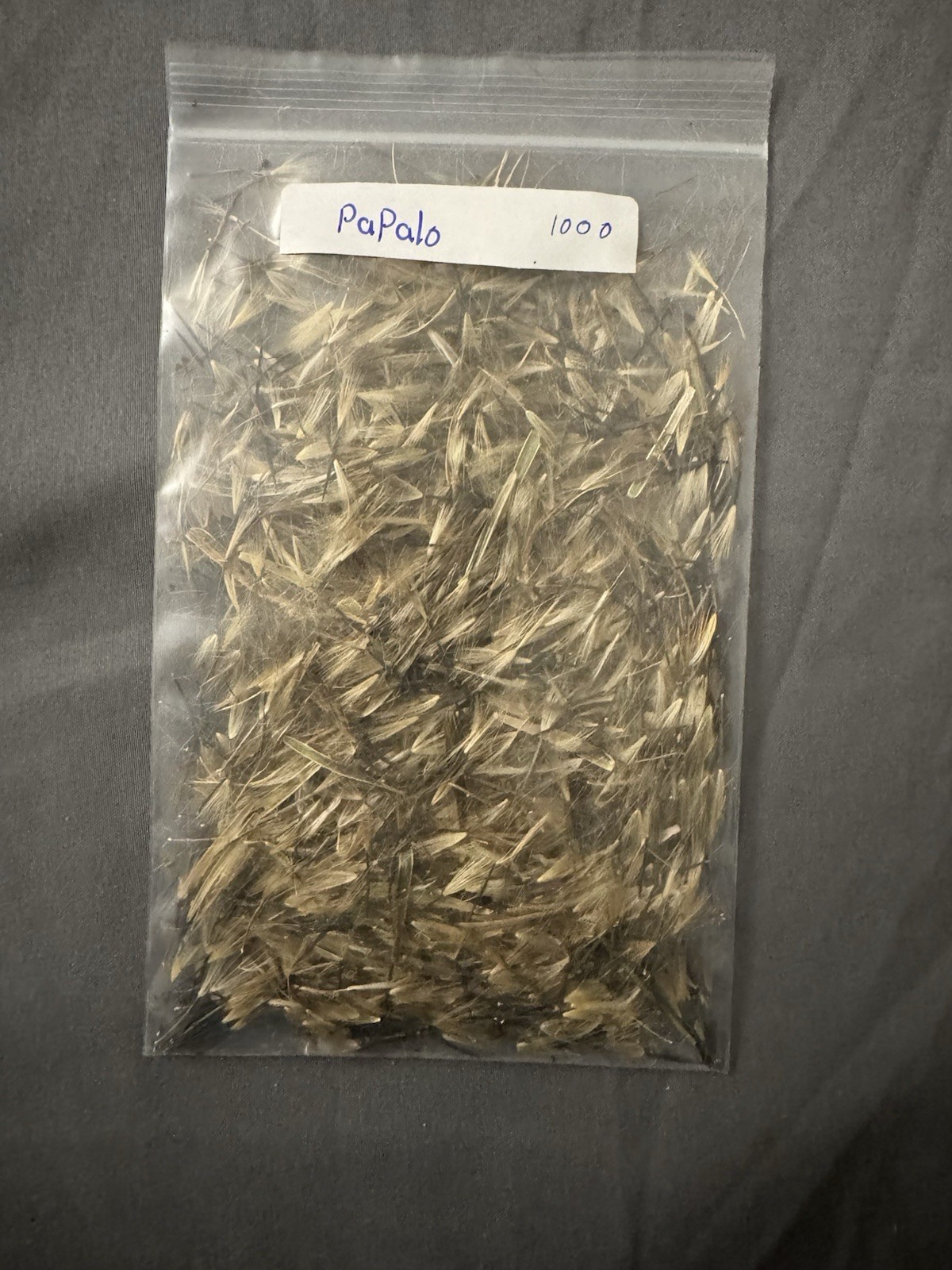 🔥 Papalo 1000+ Semillas 🌿 (Porophyllum ruderale)