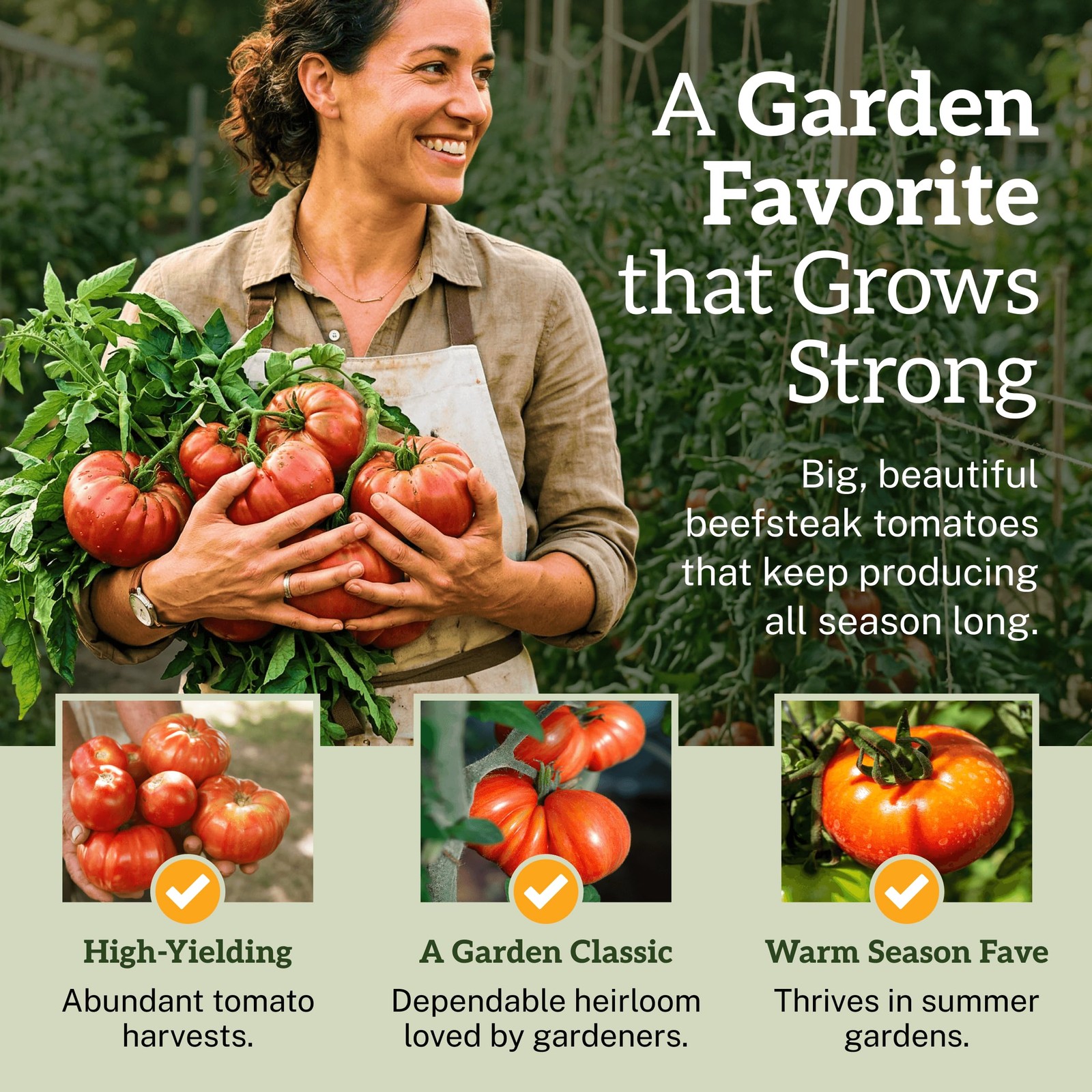 TKE Farms & Gardens – Beefsteak Tomato Seeds for Planting, 75+ Heirloom Red