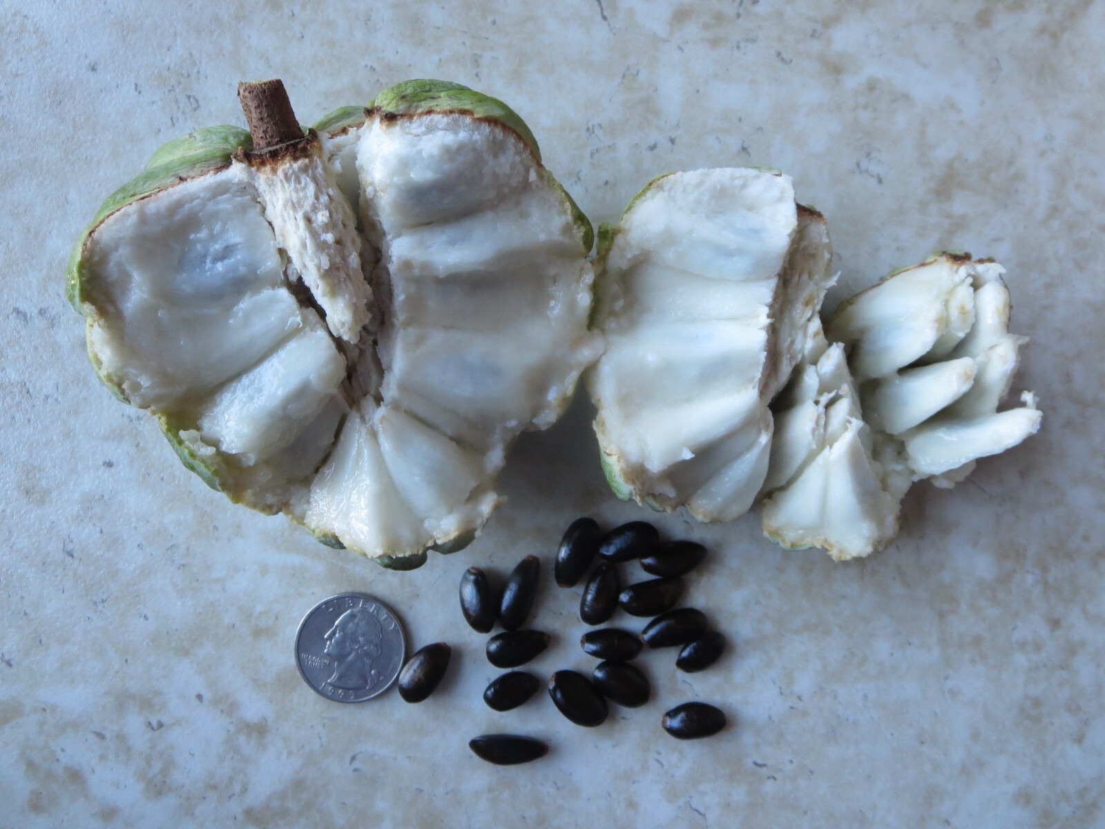 Sugar Apple Annona Squamosa Fruit Organic 30 Seeds Florida Grown Harvested 2024