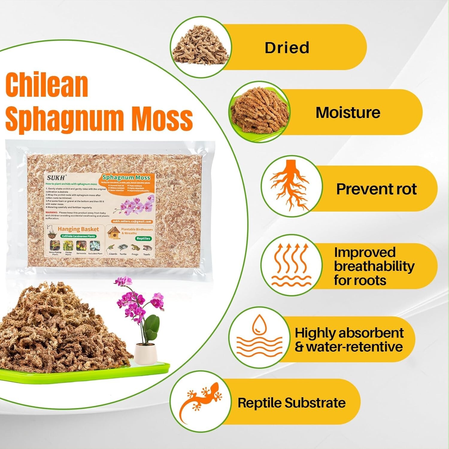 4oz Sphagnum Peat Moss for Plants – Natural Premium Long Fibered Chile Dried Mos