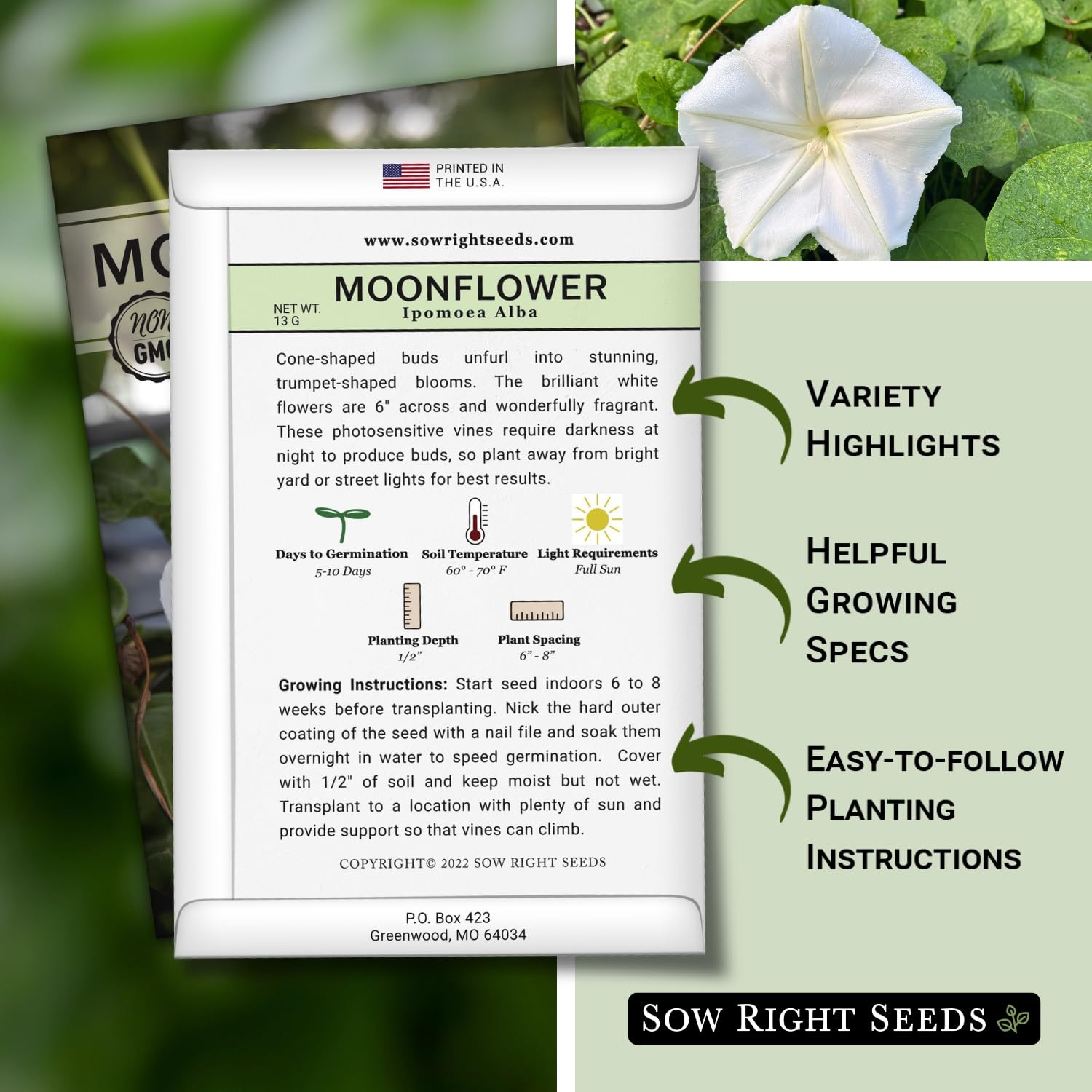 Sow Right Seeds – Moonflower for Planting – Ipomoea alba – Vining white