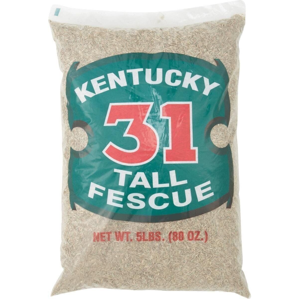 Barenbrug 5Lb Fescue Grass Seed