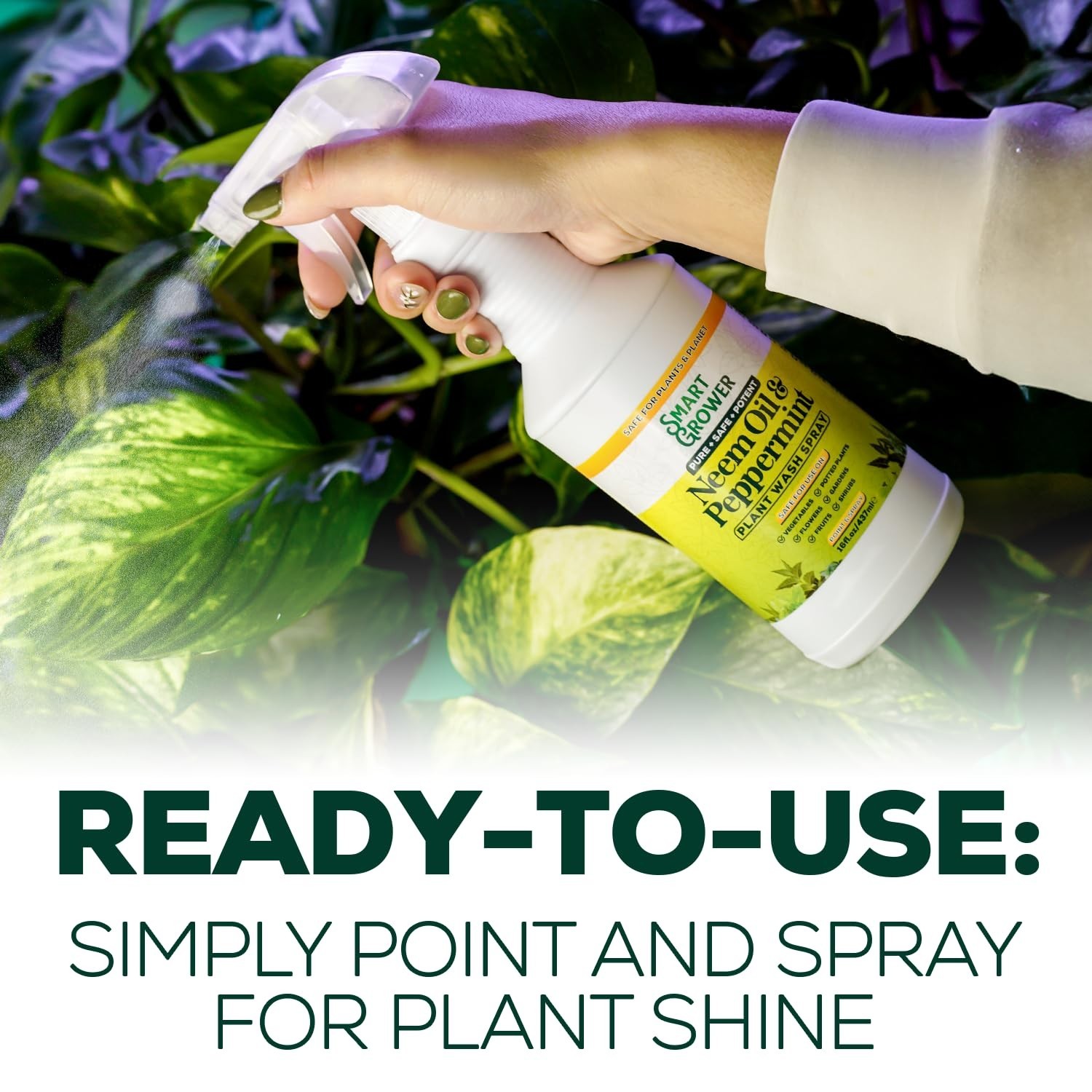 Neem Oil Spray for Plants with Peppermint Oil, Natural Plant Wash Made for In…
