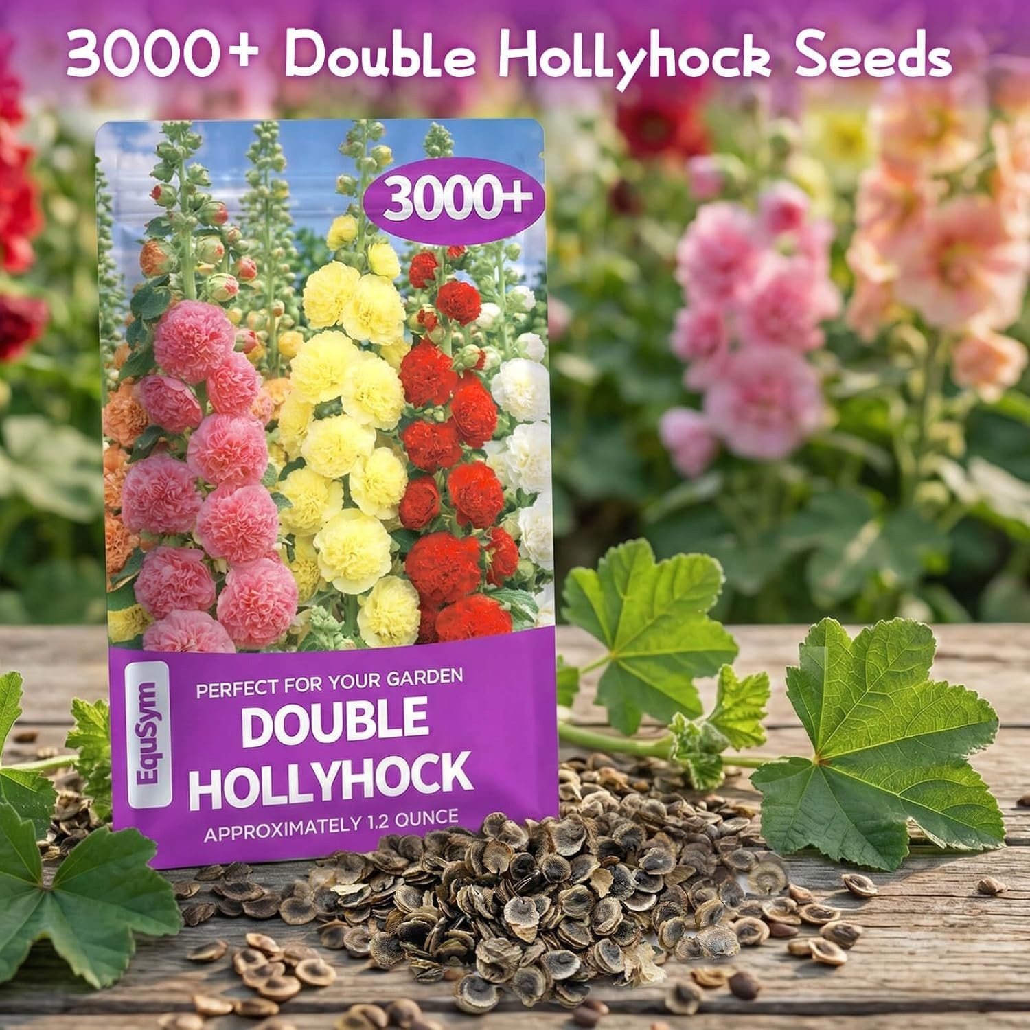 Large 3000+ Bulk Pack of Double Hollyhock Seeds – Spring to Fall Blooms