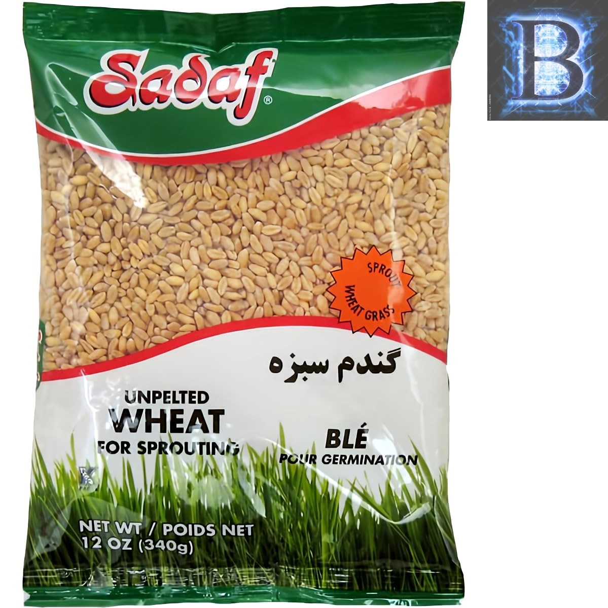 Unpelted Sprouting Wheat – 12 oz for Healthy Cooking & Celebration