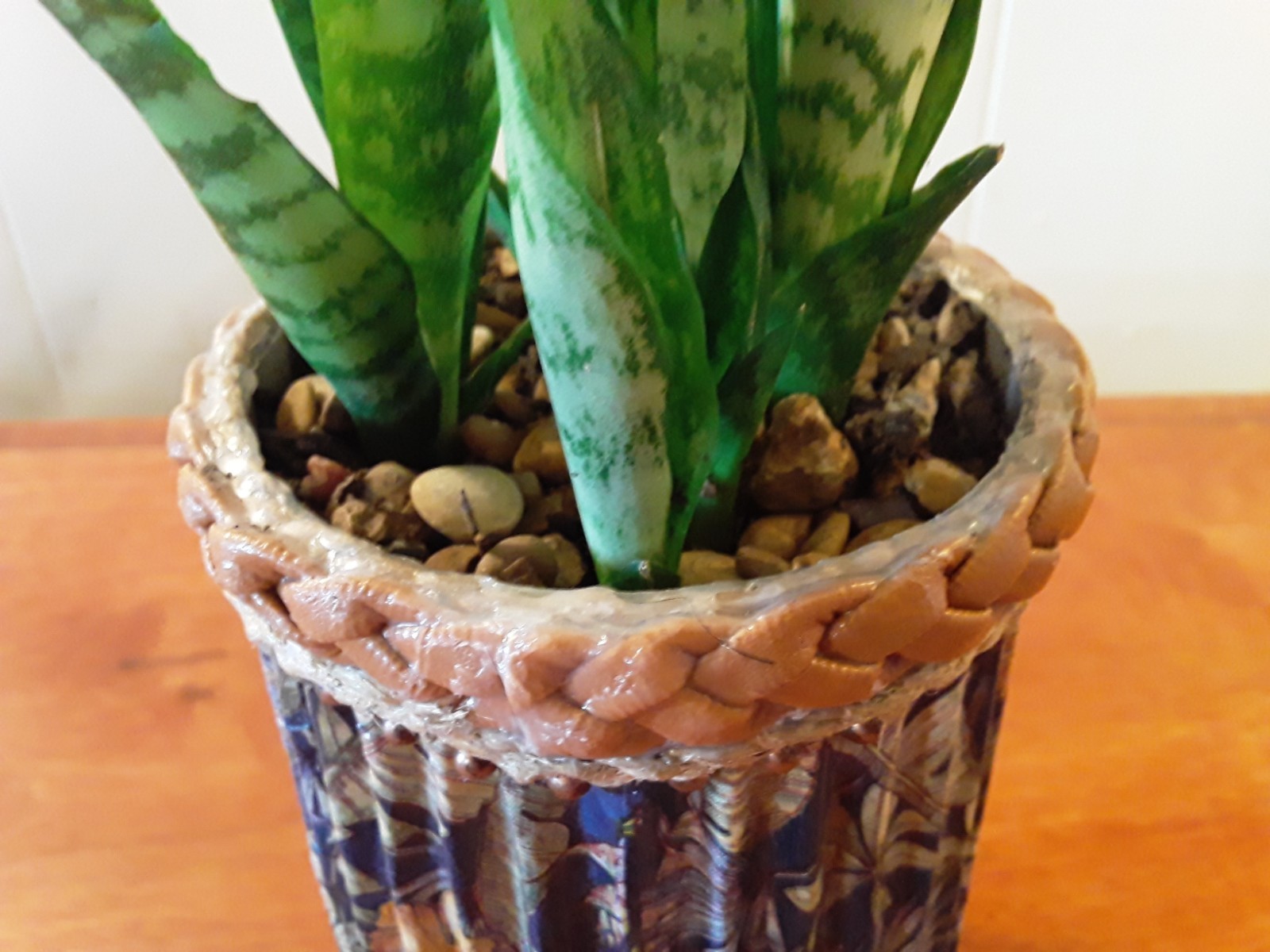 Sansevieria Snake Plant- 4 Healthy Rooted Plants in 6″x4″ Crafted Container