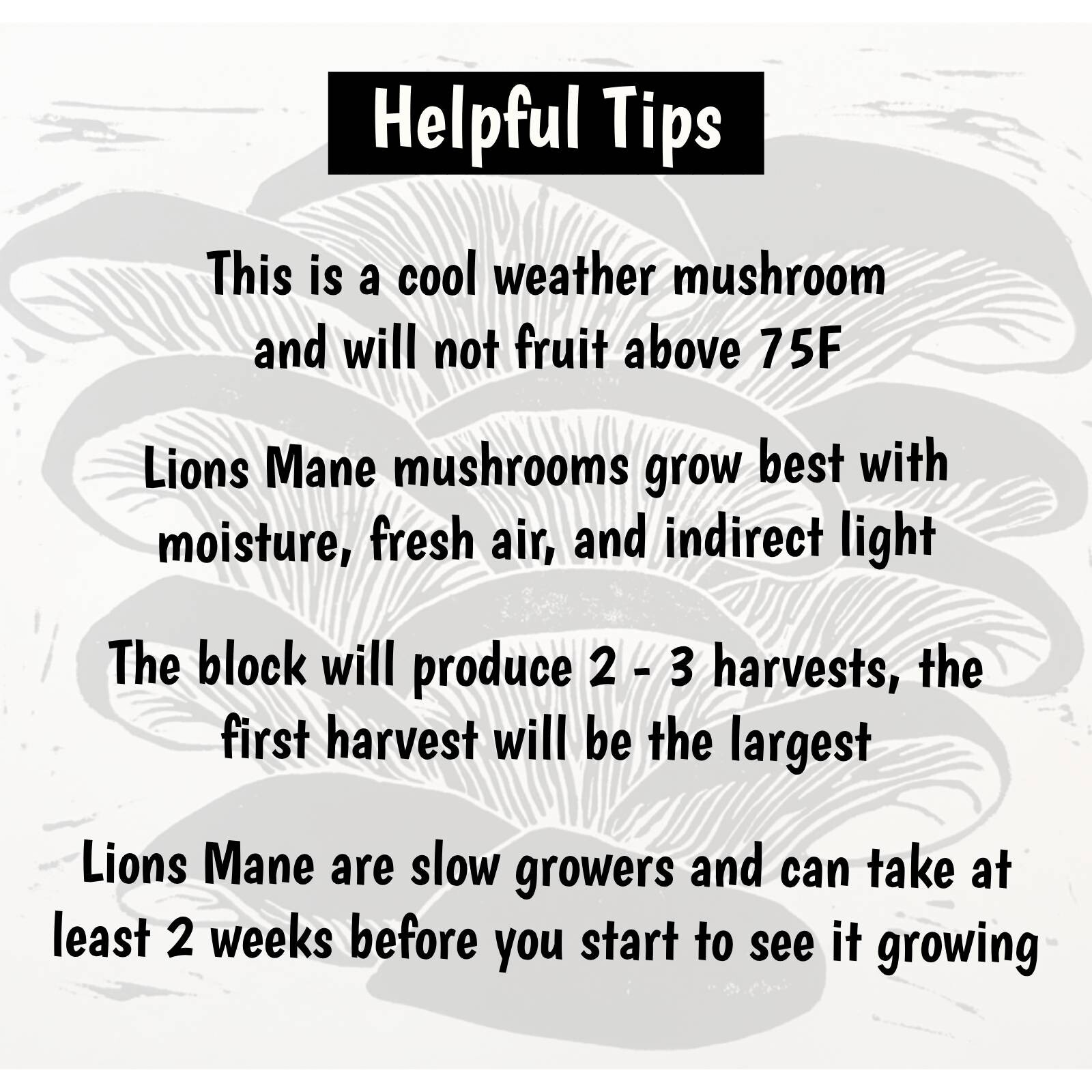 Lions Mane Mushroom grow kit – 5 pound Master’s Mix block