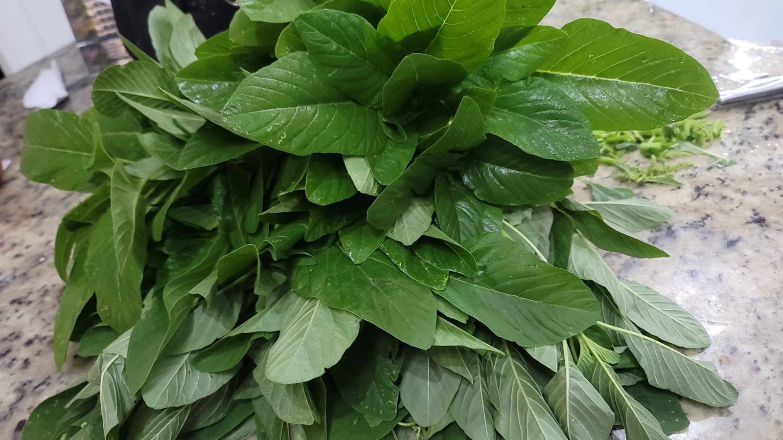 Efo Tete (Green Amaranth) — 500‑Seeds
