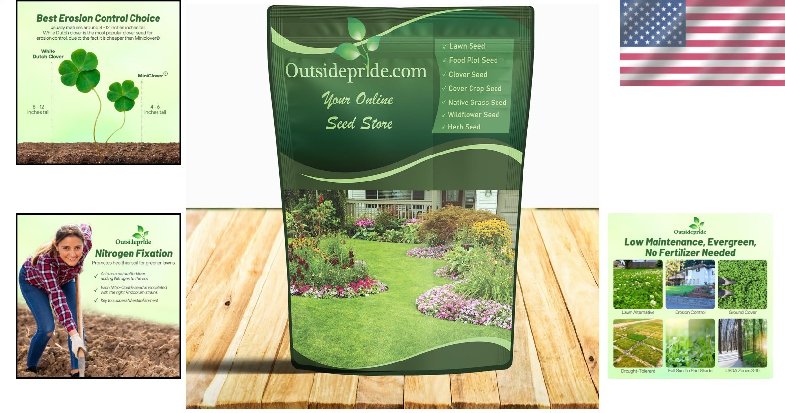 Perennial White Dutch Clover Seed – Nitrocoated, 1 lb for Vibrant Lawns