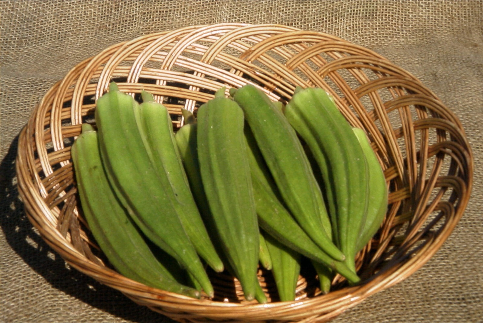 NON-GMO Clemson Spineless 80 Okra seeds Heirloom Open Pollinated Delicious