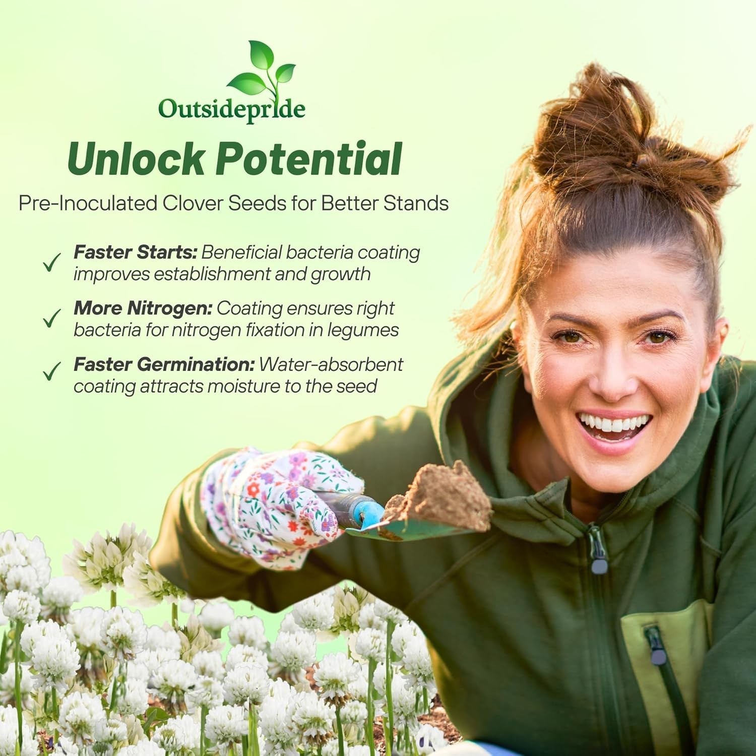 Perennial White Clover Seed – 10 lbs for Soil Enhancement & Drought Tolerance