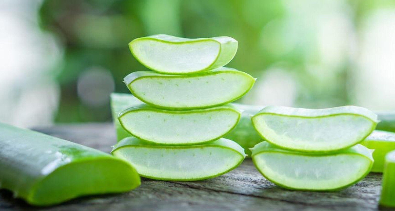 Aloe Vera Leaf 4 Ounces Cutting Medicinal
