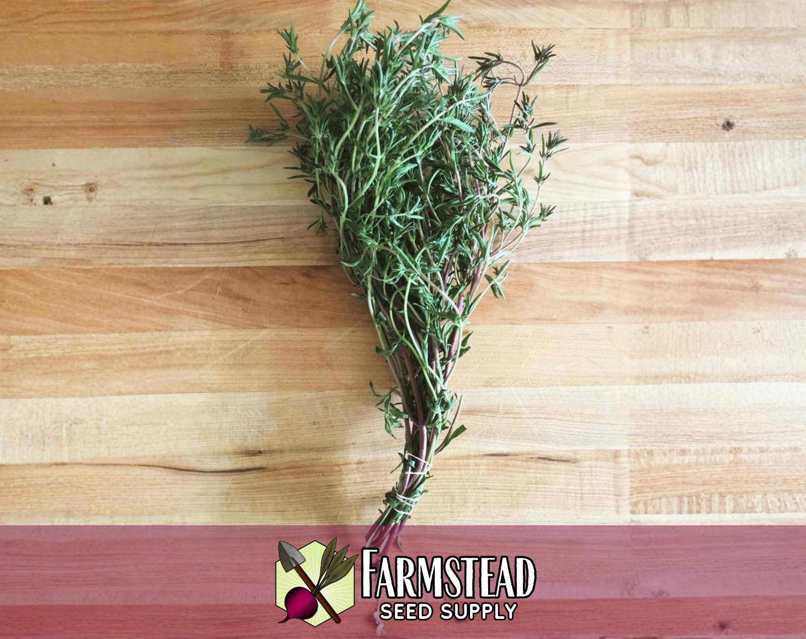 3200+ Summer Savory Herb Seeds | Heirloom, NonGMO, Herb Gardening Seed Packet