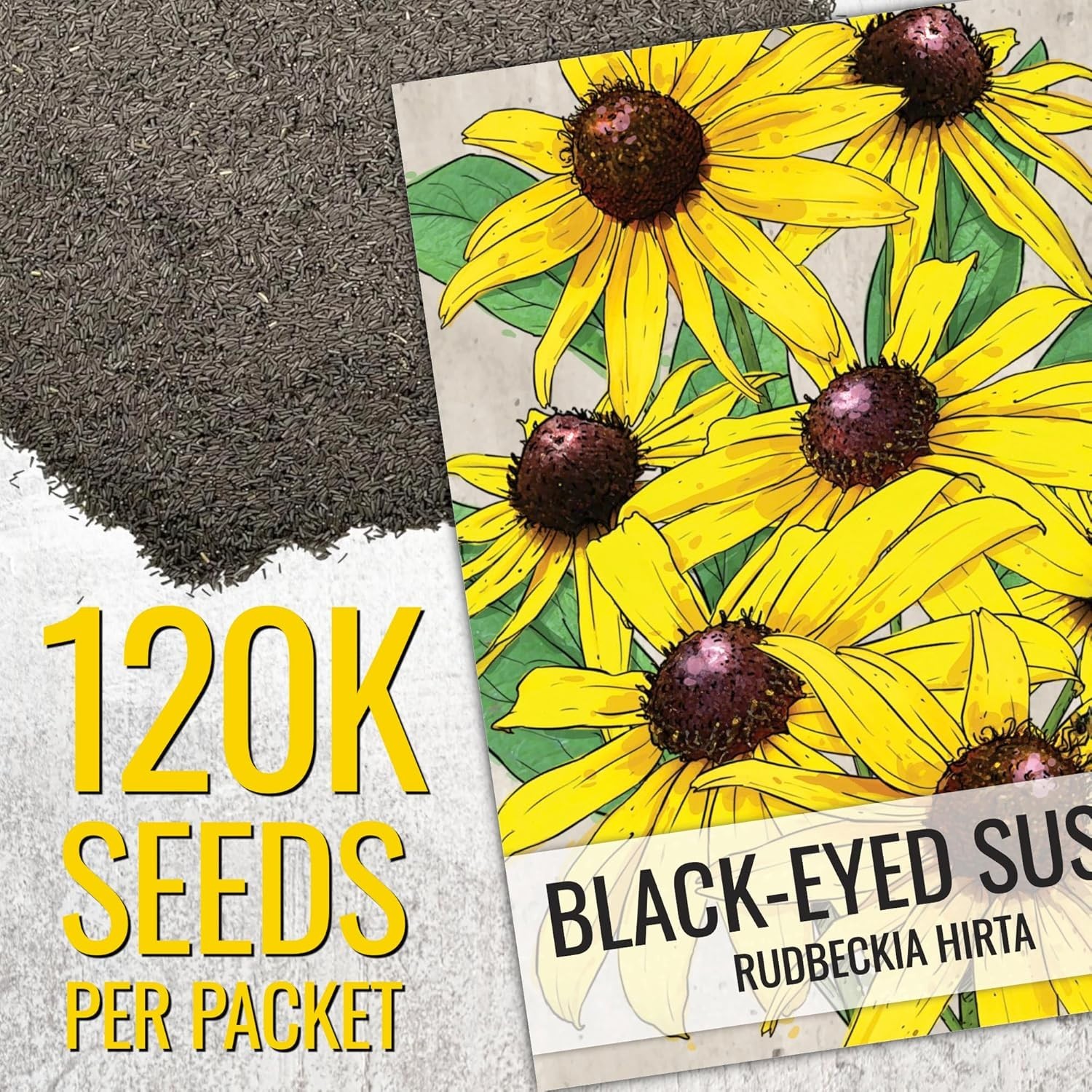 Black Eyed Susan Seeds for Planting 120,000+ Seeds Rudbeckia Hirta Perennial