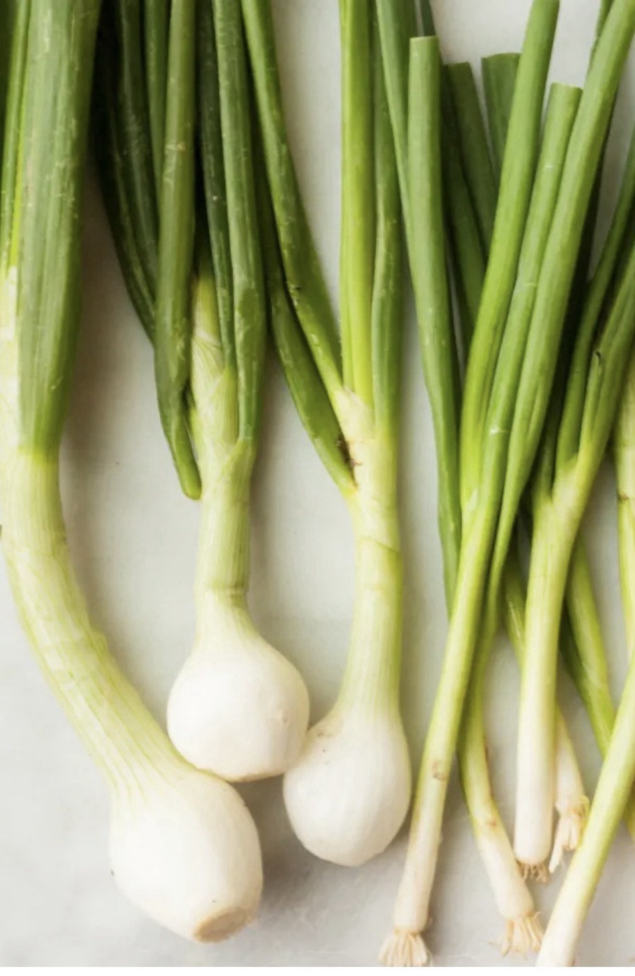 60+ Seeds Onion Green Scallion Seed Pack- Black Duck Brand – Made in USA