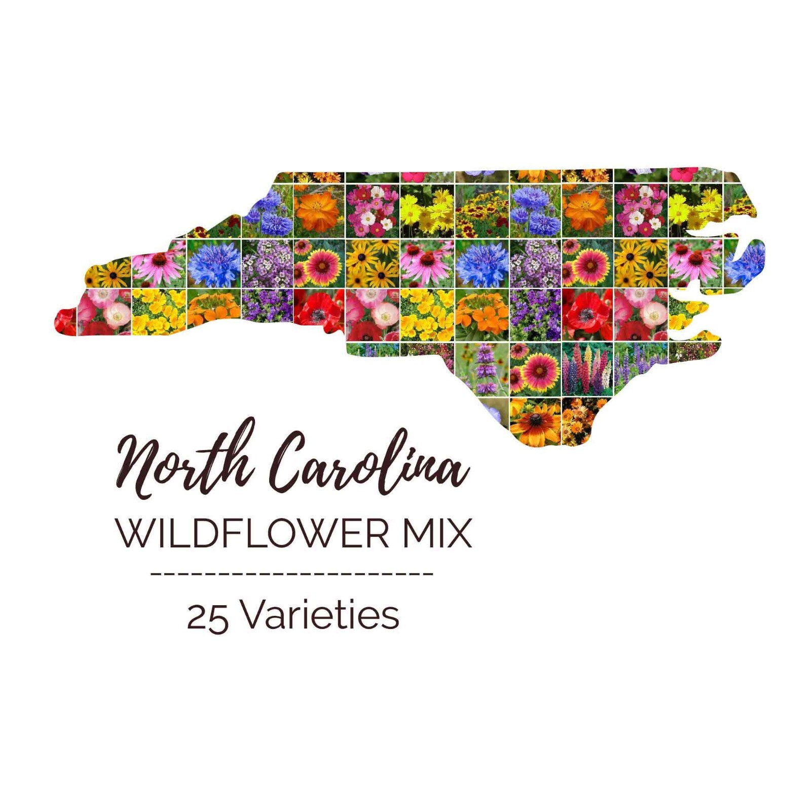 Wildflower NORTH CAROLINA State Mix Perennials & Annuals USA Non-GMO 1000 Seeds!