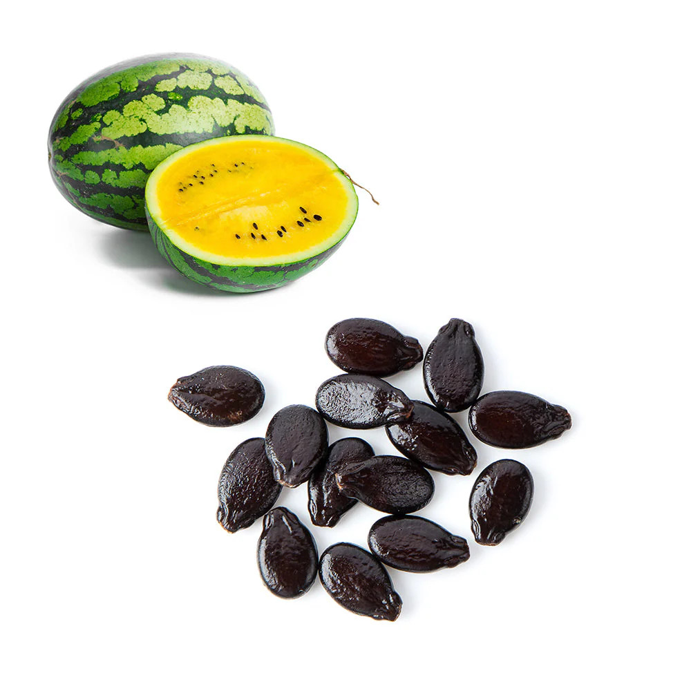 10 Organic Yellow Petite Watermelon Seeds – 4-7LB Super Sweet Mini Yellow Melon