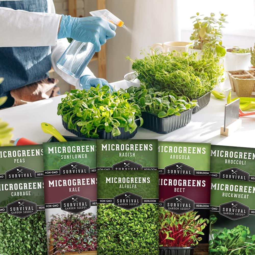 Microgreen Seeds Variety Pack – 10 Heirloom Types for Indoor Sprouting Green