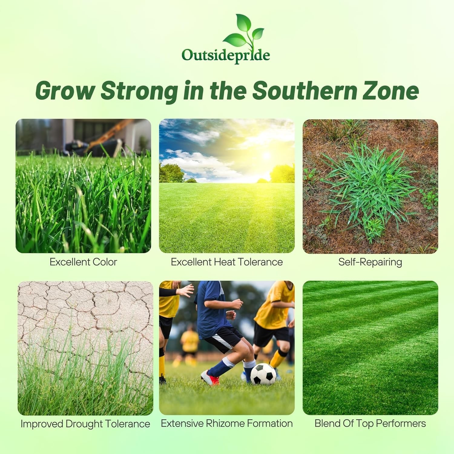5 LBS – OptiGrowth Coated Combat Extreme&trade; Southern Zone Grass Seed