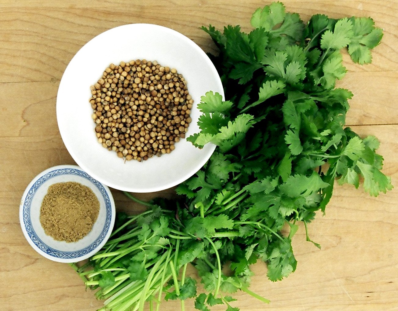 CILANTRO HERB-CORIANDER (Coriandrum sativum) recao latin cuisine spice 100 seeds