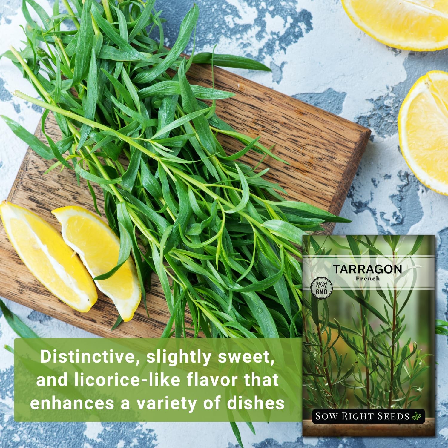Sow Right Seeds – French Tarragon for Planting – Non-GMO Heirloom green