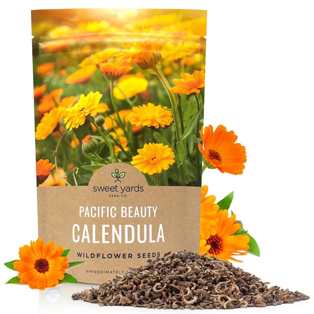 Calendula ‘Pacific Beauty Mix’ – Bulk Quarter Pound Bag – Over 12000 Open Pol…