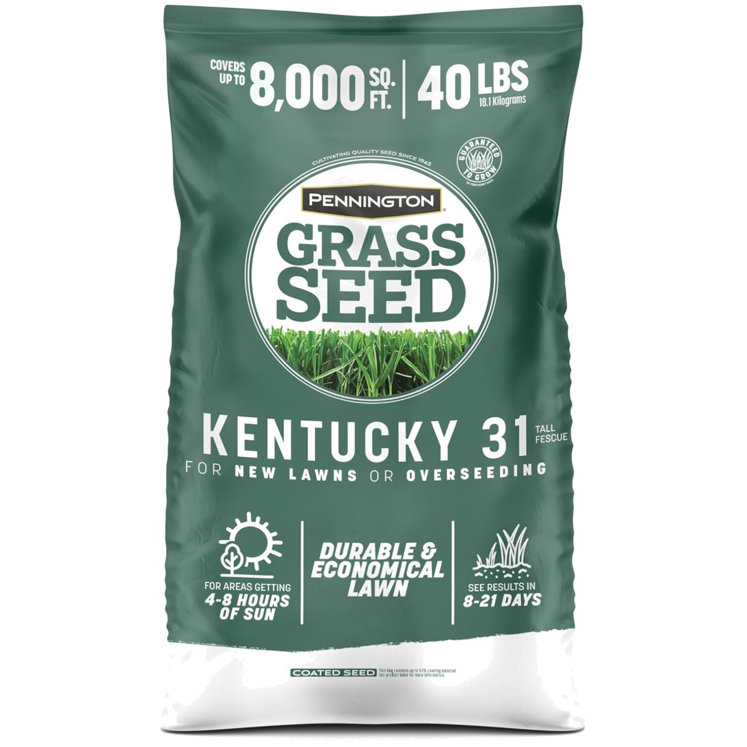 Fast Growing Fescue Grass Seeds – Thick & Drought-Resistant