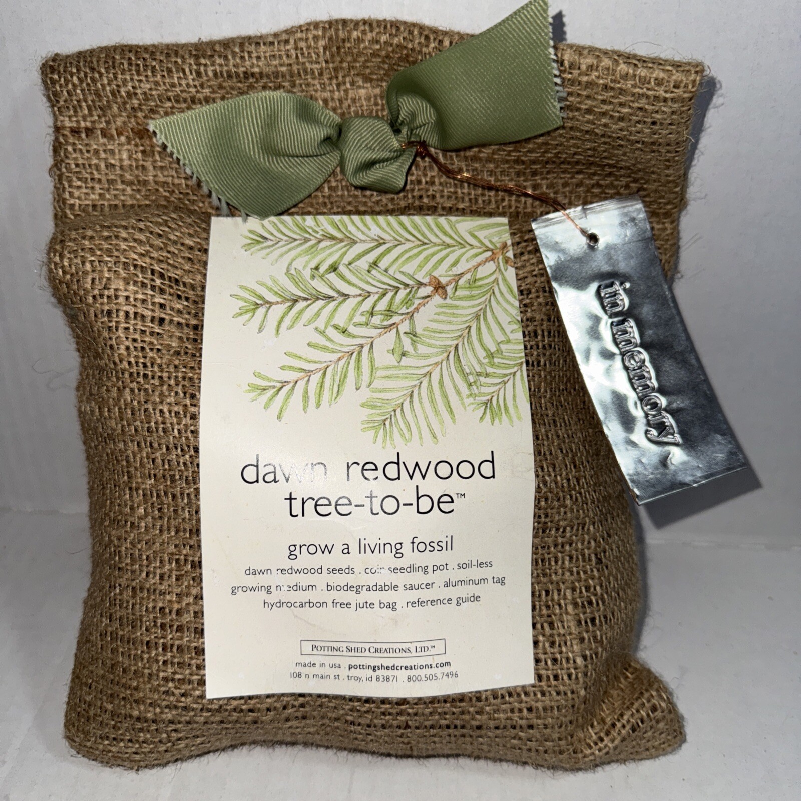 Tree-to-be Dawn Redwood Grow A Living Fossil “in Memory Of”