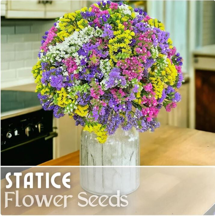 Statice Seeds – 85 Seeds – Serenade Mix – Flower Seed Flowers Garden Non GMO