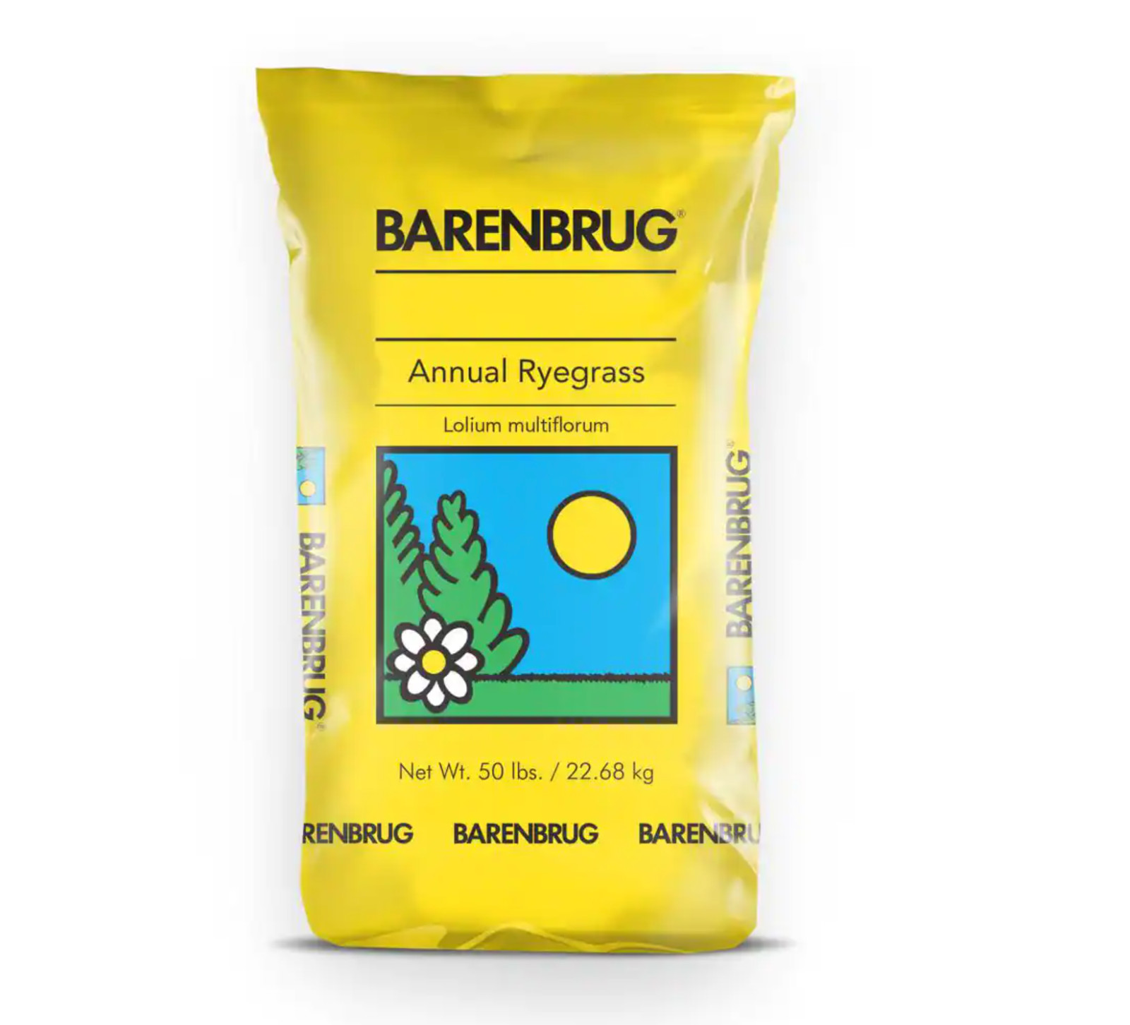 Barenbrug 50 lb. Panterra V Over Seeding Annual Rye Grass Seed Turf Quality