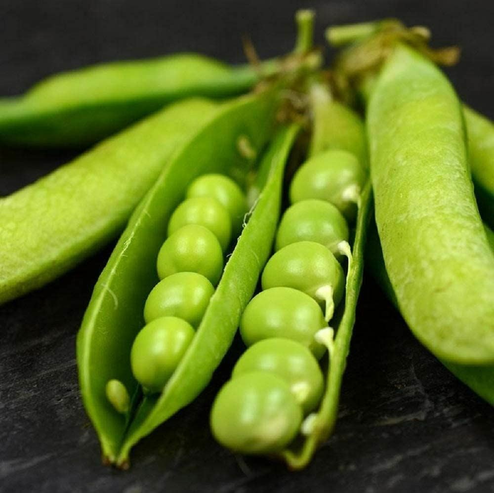 Pea Seeds, Little Marvel Pea Seeds,”COOL BEANS N SPROUTS” Brand. Heirloom. Non-G