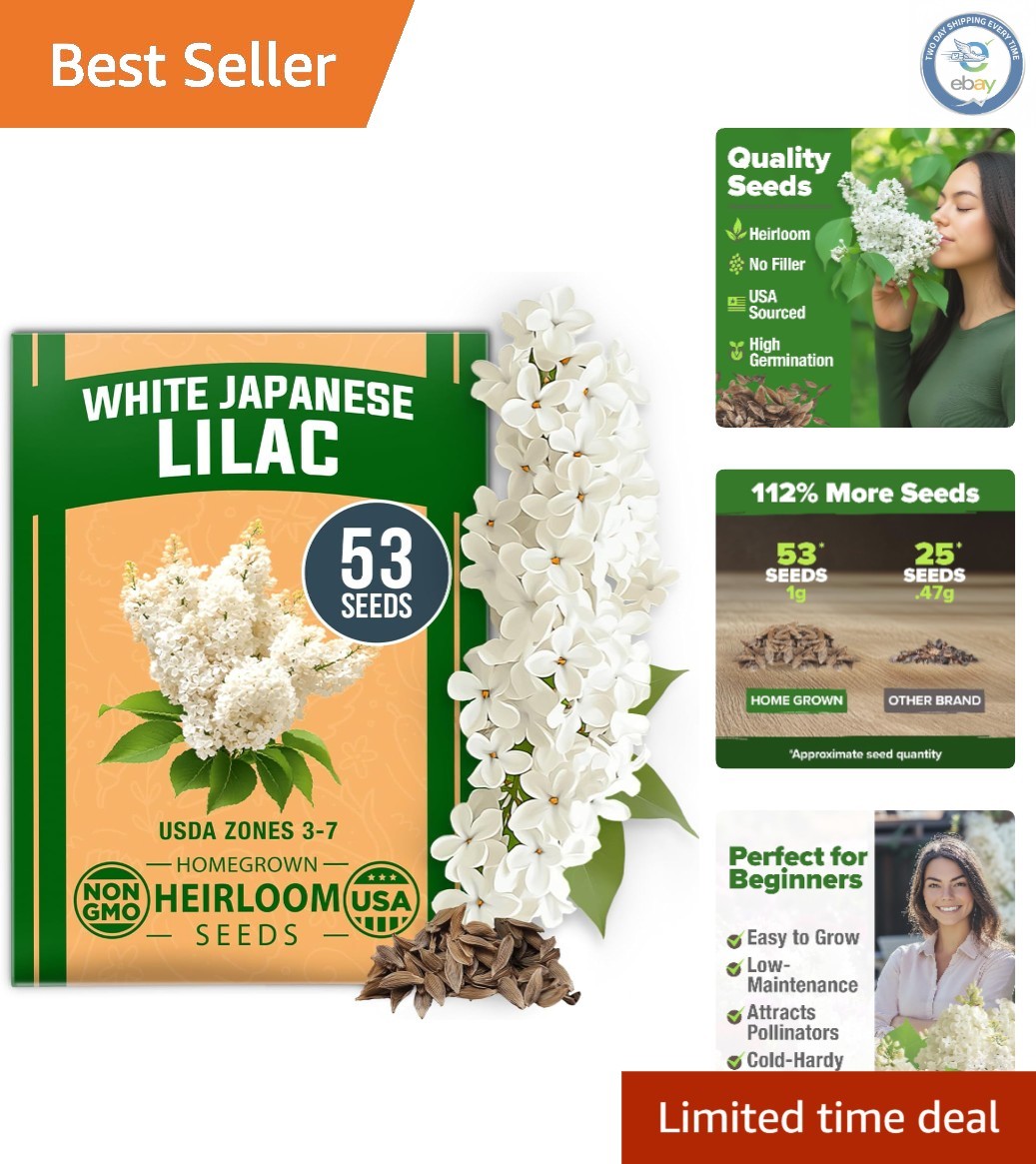 Fragrant White Lilac Flower Seeds – 53 Non-GMO Heirloom Seeds for Garden Bliss