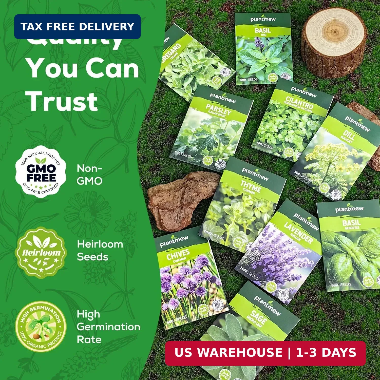 10 Herb Seeds Variety Pack – 7,000+ Heirloom Seeds – Basil, Cilantro, Lavender,