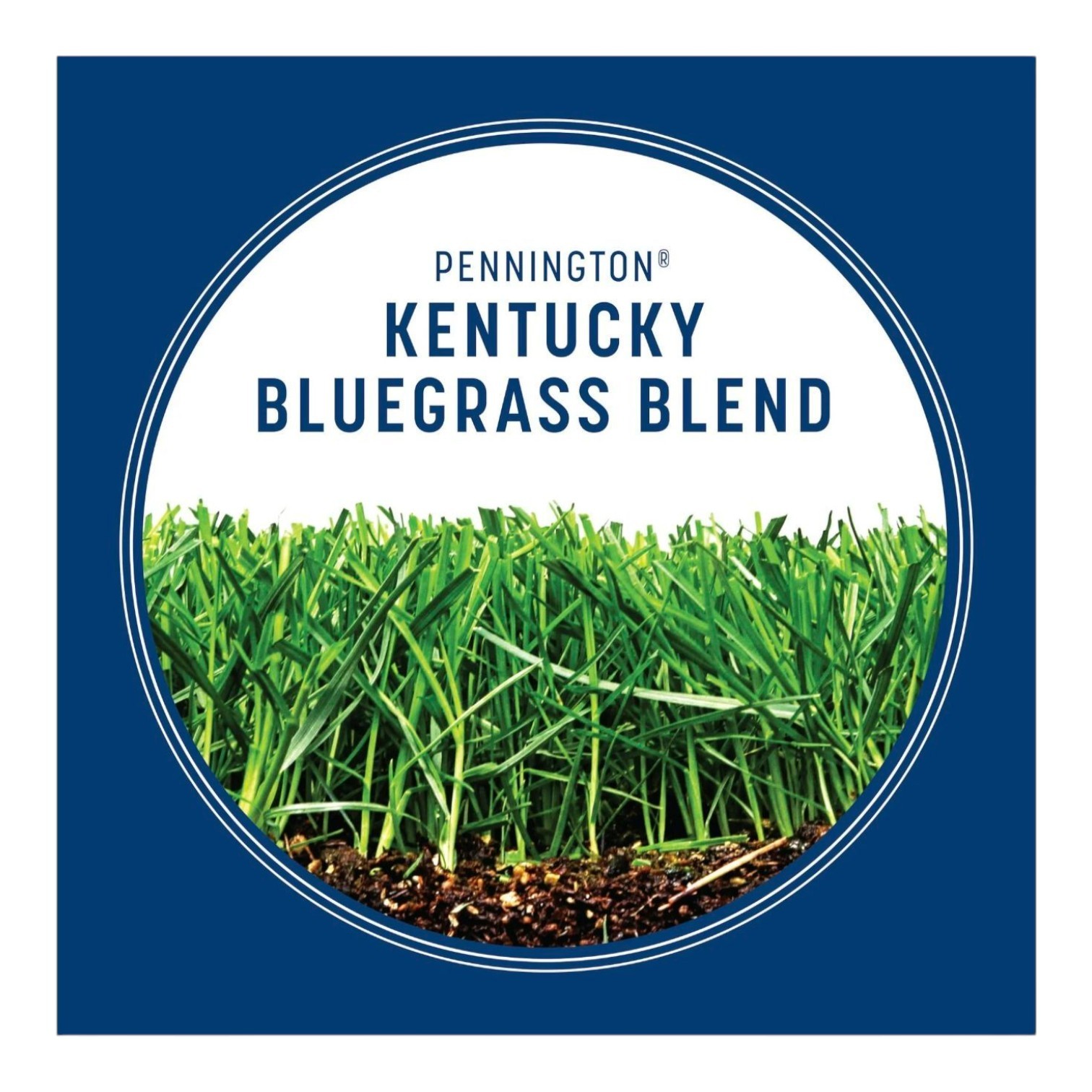 Kentucky Bluegrass Northern Grass Seed Mix, Sun Light to Partial Shade, 3 lb Bag
