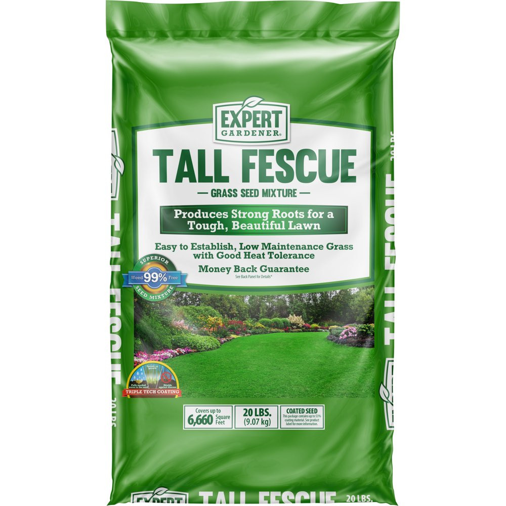 GRASS SEED Tall Fescue Drought Resistant for Sun to Partial Shade 7, 20 Lb.
