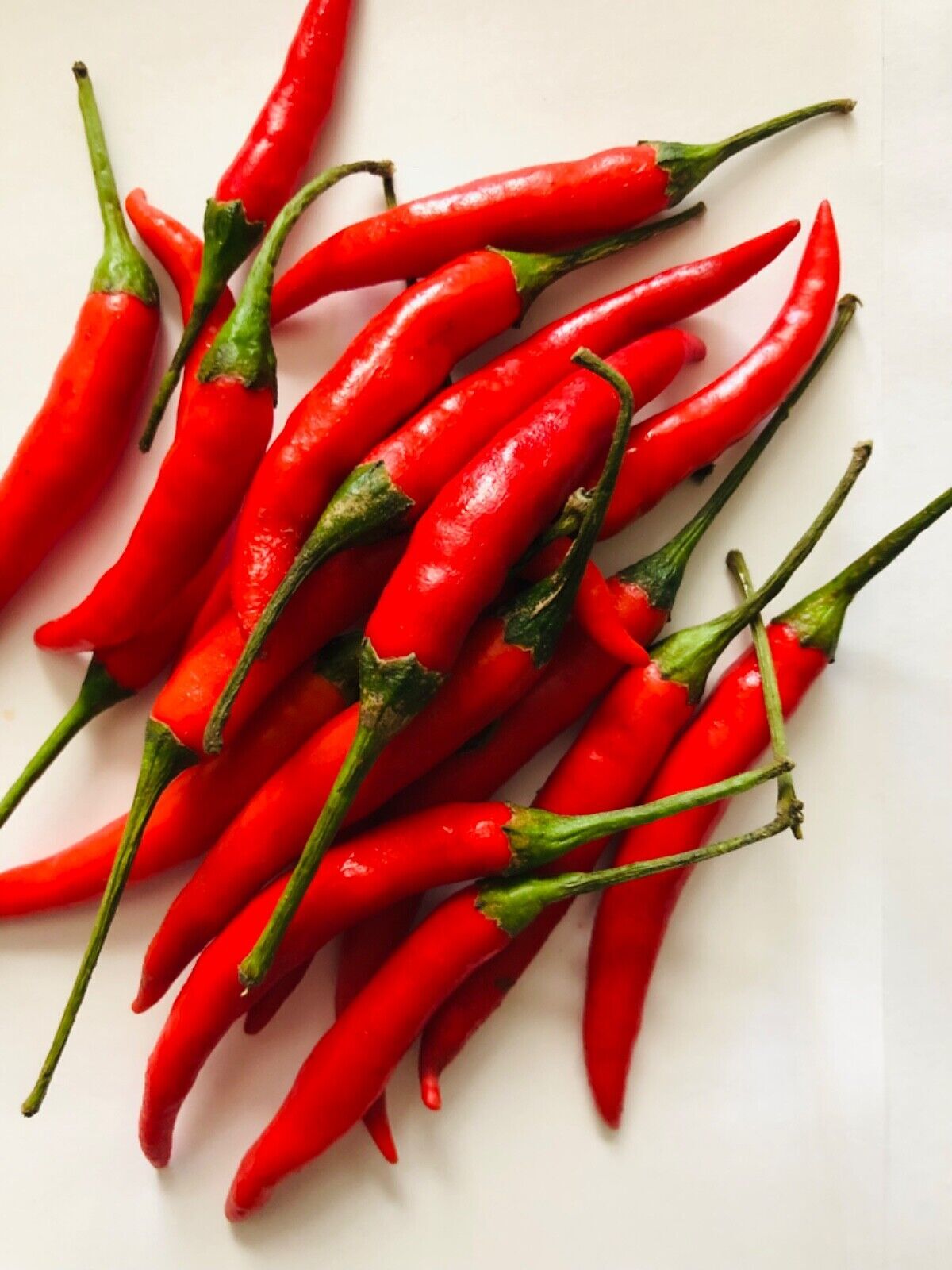 50+to 100PCS+ VERY HOT THAI RED CHILI PEPPER DRIED SEEDS, READY TO PLANT, EDIBLE