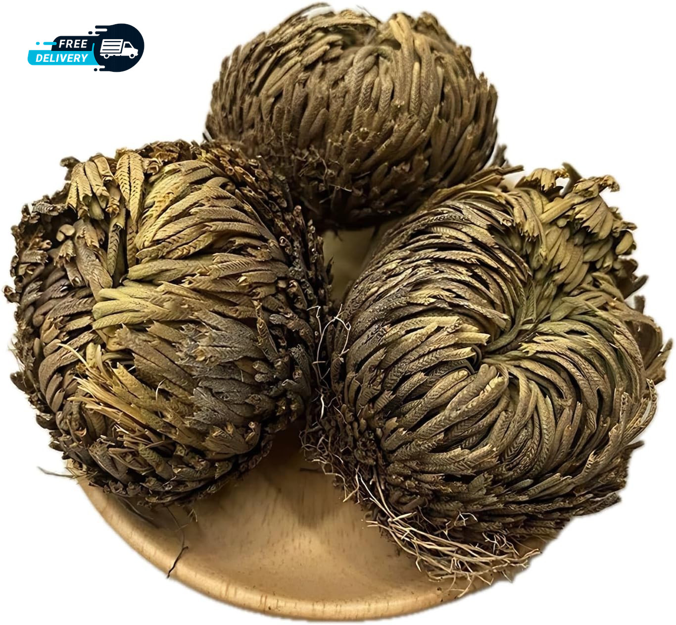 5 Pack Big 3.5 Rose of Jericho Resurrection Plants Flor De Jerico Original