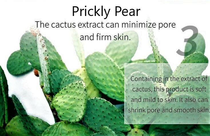 Prickly Pear Organic Spineless Cactus Pads, Beauty Regimen Reptile & Human Food