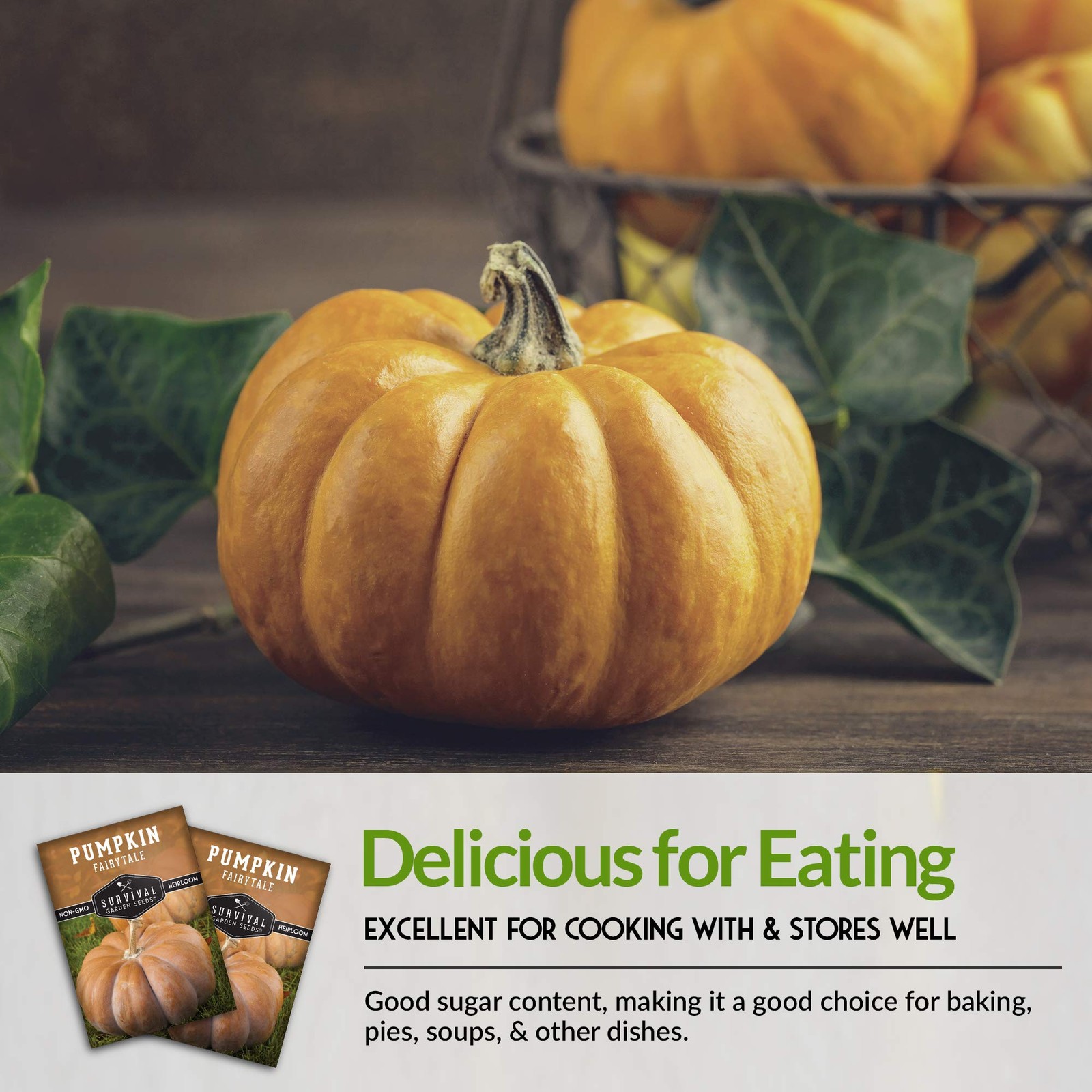 Fairytale Pumpkin Seeds for Planting | Musquée de Provence Heirloom Orange